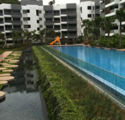 Meadows @ Peirce (D26), Condominium #154149372